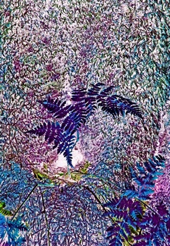 N 093D